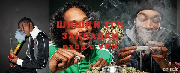 PSILOCYBIN Аркадак