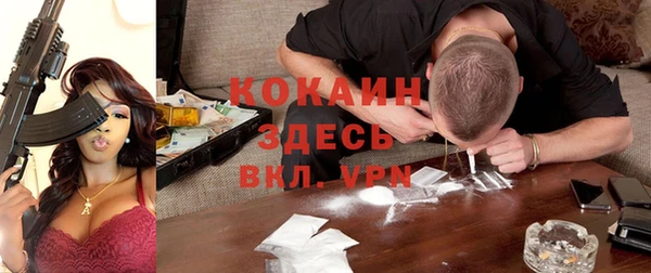 ГАЛЛЮЦИНОГЕННЫЕ ГРИБЫ Баксан